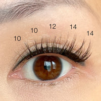 Fluffy Lash Clusters - 'Classic' Style - Individual Size