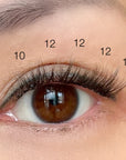 eye with 10mm and 12mm natural lash clusters