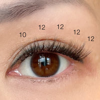 Fluffy Lash Clusters - 'Natural' Style - Individual Sizes