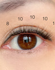 eye with 8mm and 10mm natural lash clusters