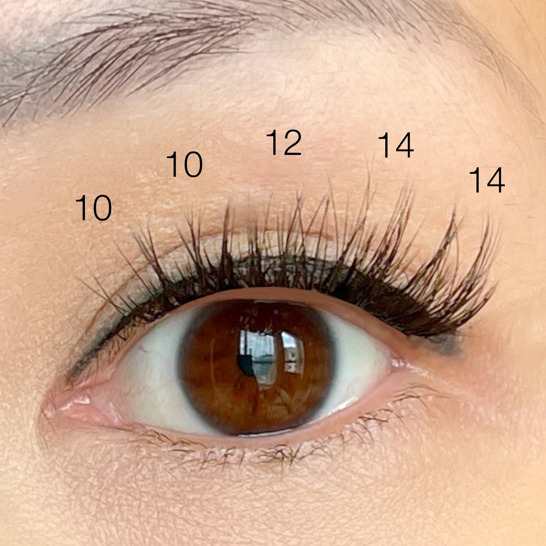 Fluffy Lash Clusters - 'Classic' Style - Individual Size