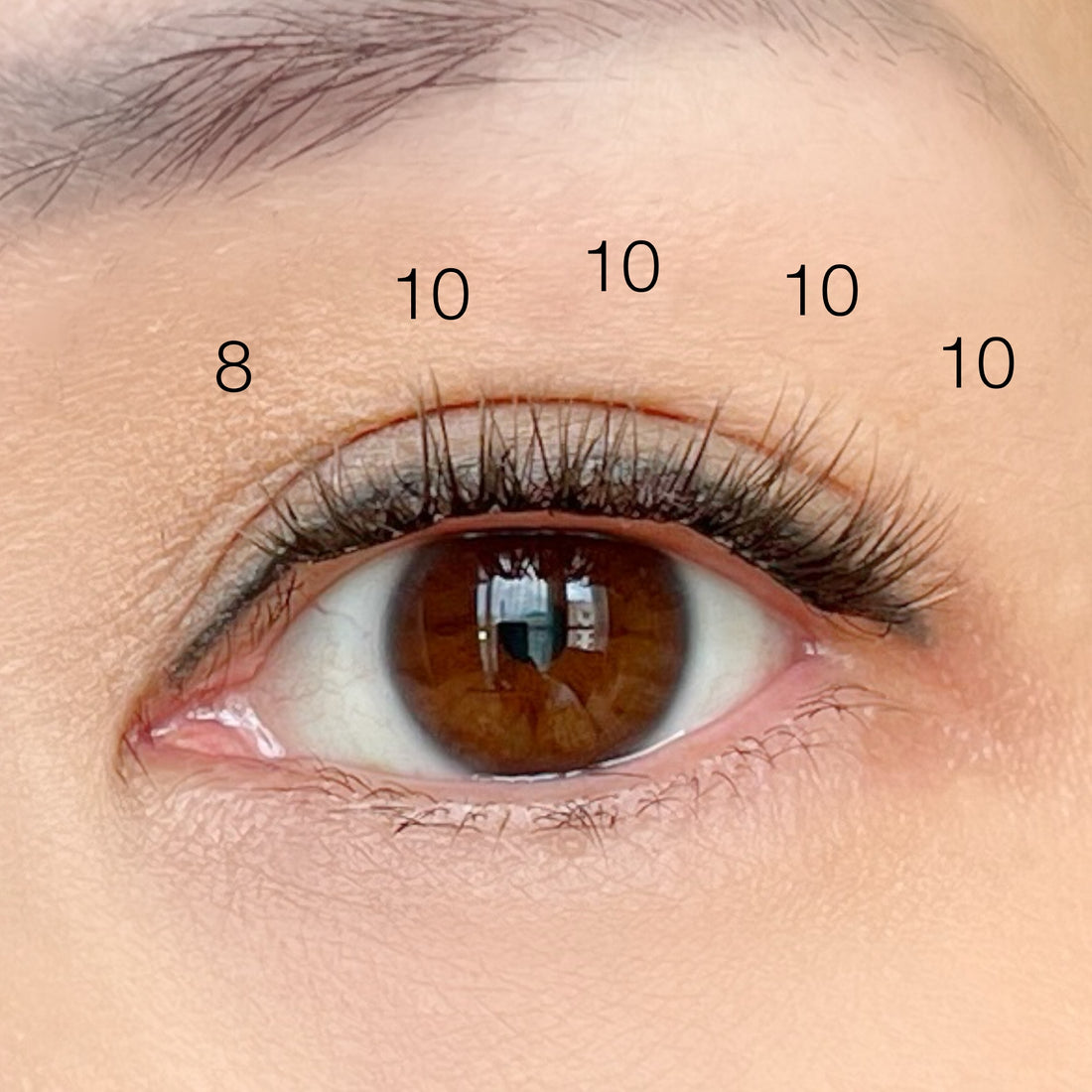 Fluffy Lash Clusters - 'Natural'  Style - Individual Sizes