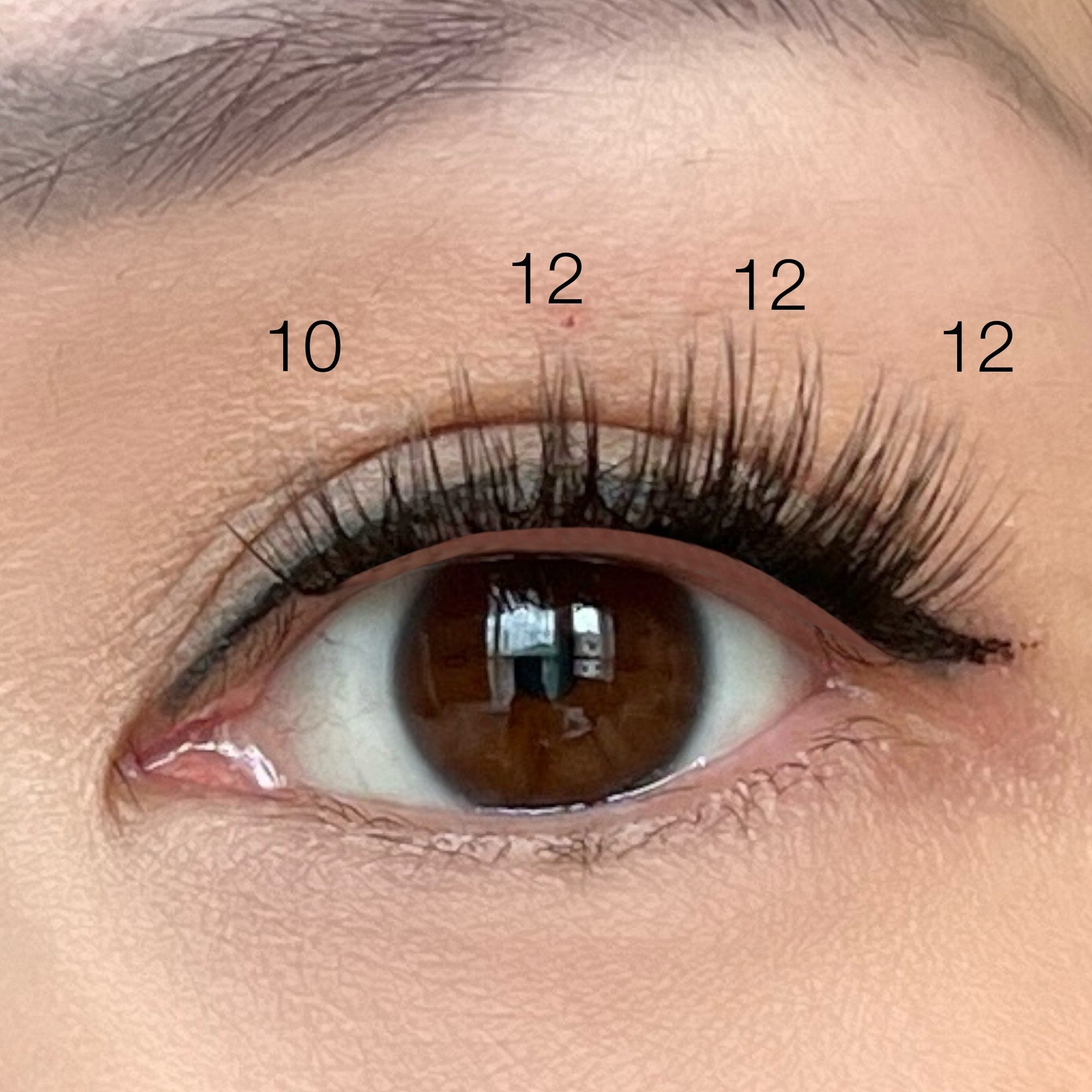 eye with lash map of 10mm and 12mm lash cluster